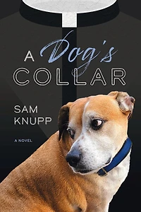 A Dog's Collar
