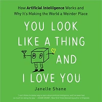 You Look Like a Thing and I Love You: How Artificial Intelligence Works and Why It's Making the World a Weirder Place