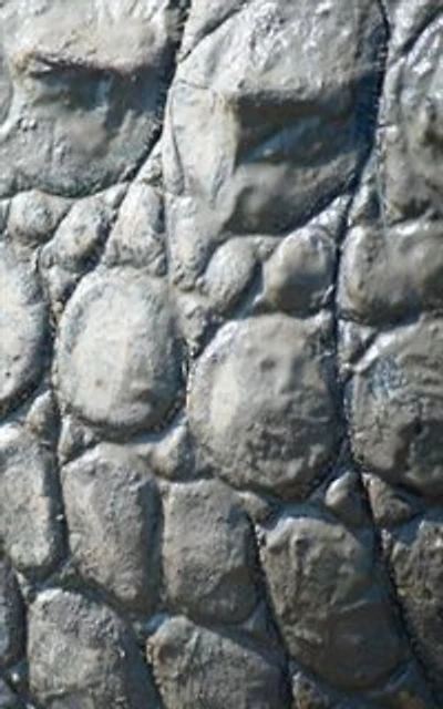 Alive! crocodile skin - Natural and muddy photo art notebooks (5 x 8 series): by photographer Eva-Lotta Jansson
