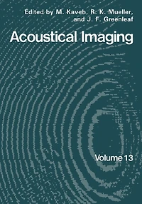 Acoustical Imaging