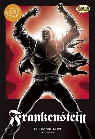 Frankenstein The Graphic Novel: Original Text: The Graphic Novel: Original Text
