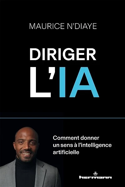 Diriger l'IA : comment donner un sens à l'intelligence artificielle: comment donner un sens à l'intelligence artificielle