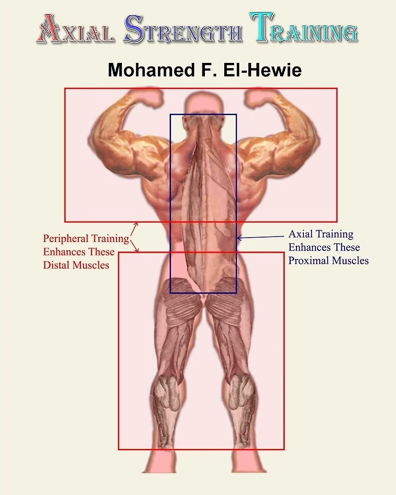 Axial Strength Training: Essentials of Weightlifting Strength Training