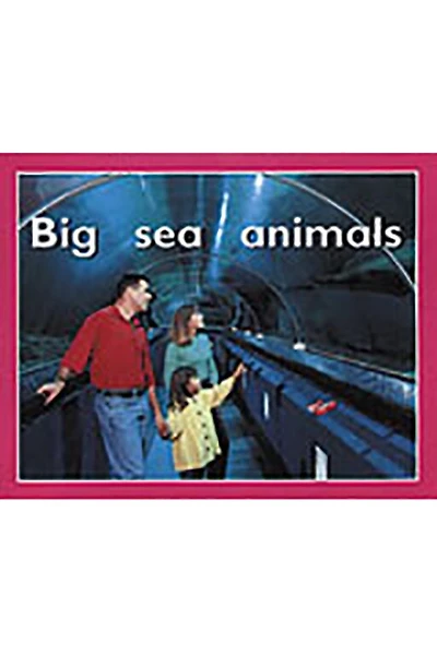 Big Sea Animals: Individual Student Edition Magenta (Level 2)
