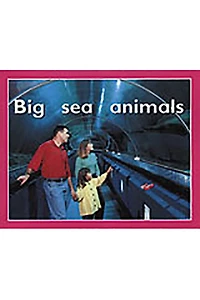 Big Sea Animals: Individual Student Edition Magenta (Level 2)