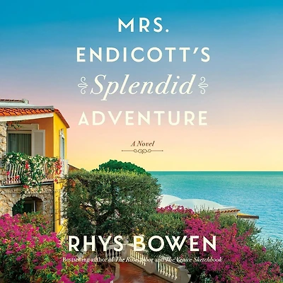 Mrs. Endicott's Splendid Adventure: A Novel