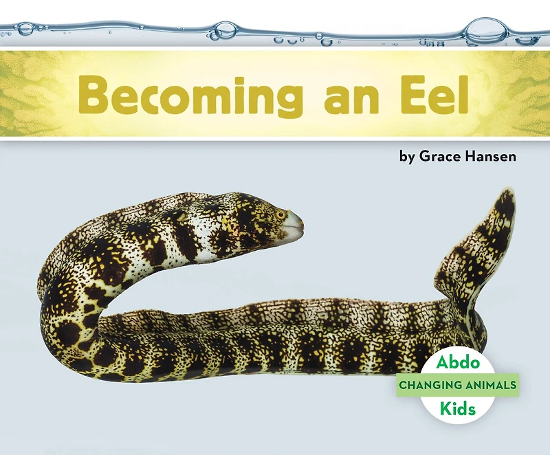 Becoming an Eel