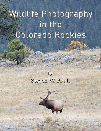 Wildlife Photography in the Colorado Rockies: Where and How to Find and Photograph Wildlife