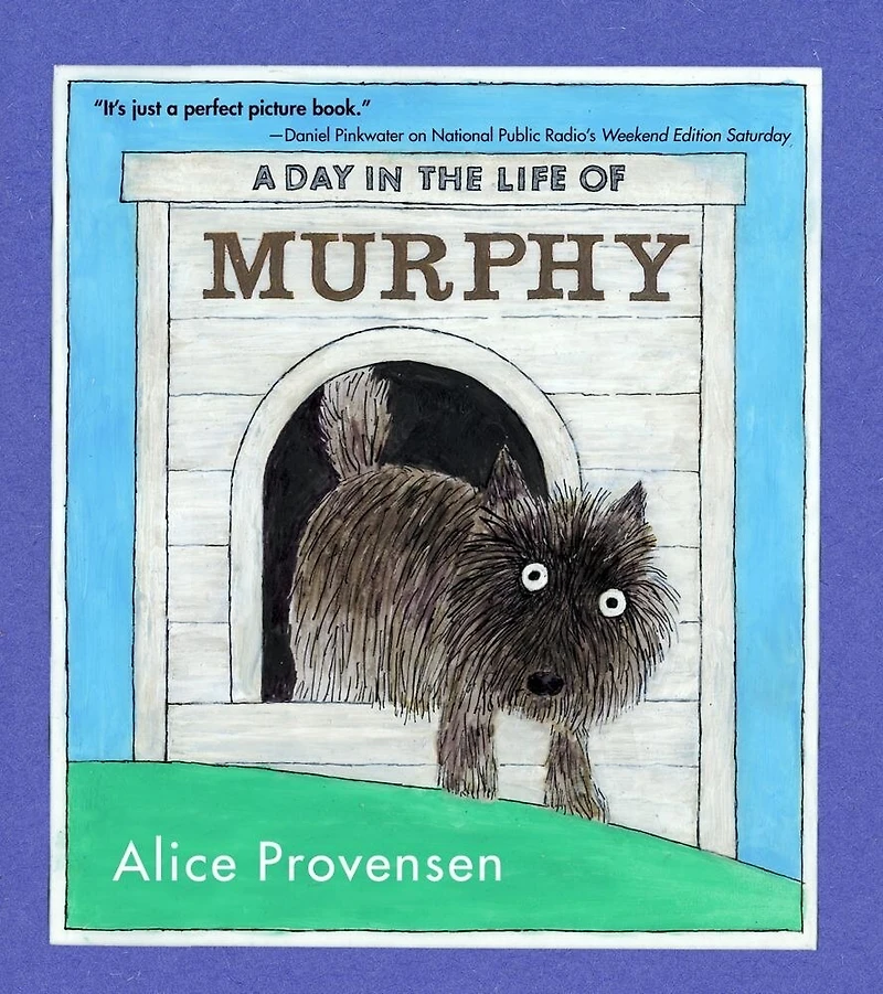 A Day the Life of Murphy