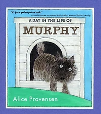 A Day the Life of Murphy