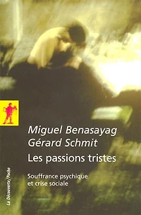 Les passions tristes: Souffrance psychique et crise sociale