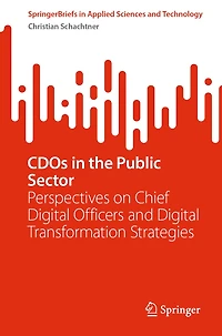CDOs the Public Sector: Perspectives on Chief Digital Officers and Transformation Strategies