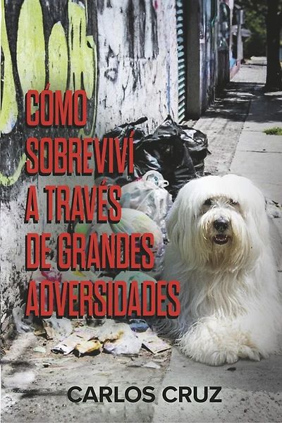 Cómo sobreviví a través de grandes adversidades