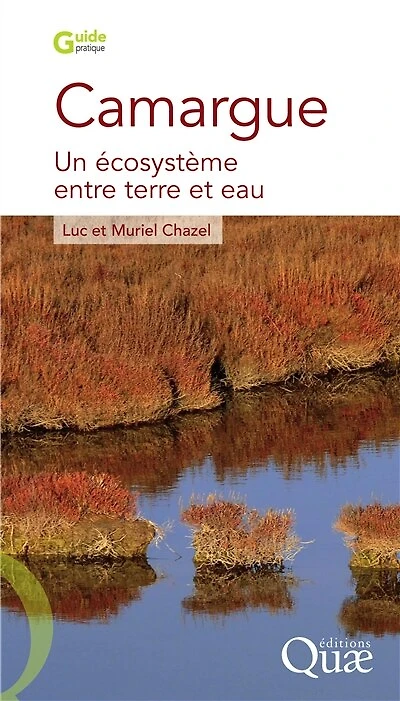 Camargue: Un écosystème entre terre et eau