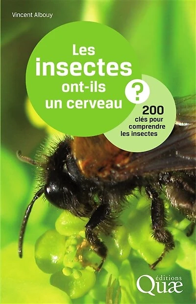 Les insectes ont-ils un cerveau ?: 200 clés pour comprendre les insectes