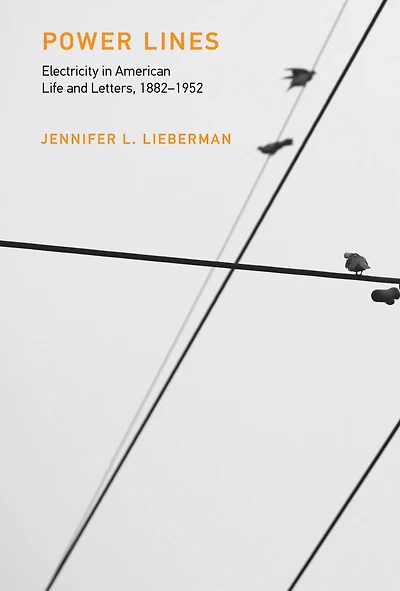 Power Lines: Electricity American Life And Letters, 1882-1952
