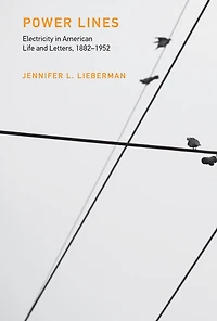 Power Lines: Electricity American Life And Letters, 1882-1952