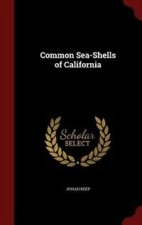 Common Sea-Shells of California