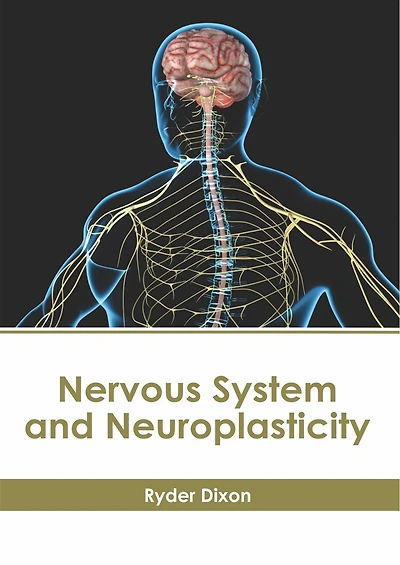 Nervous System And Neuroplasticity