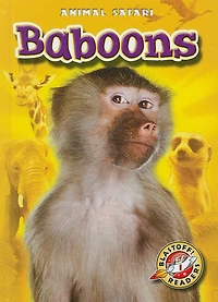 Baboons