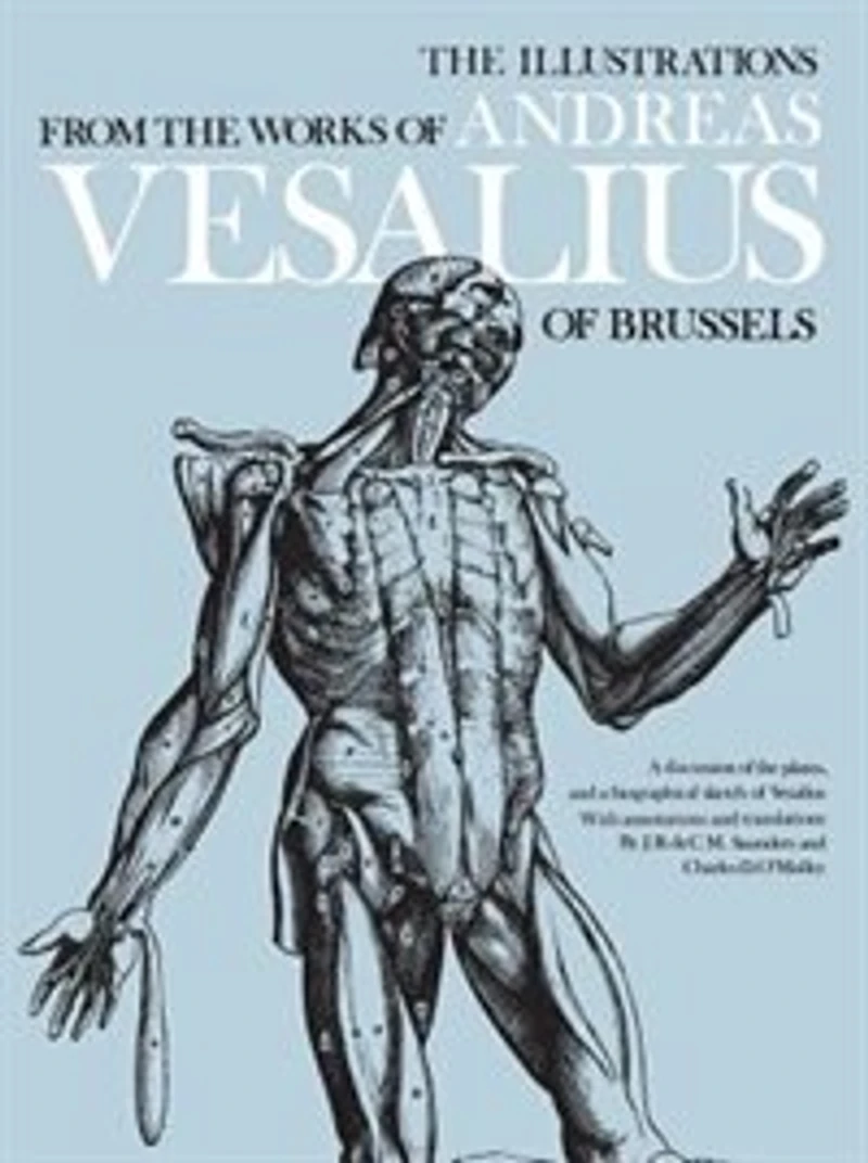 The Illustrations From Works Of Andreas Vesalius Brussels