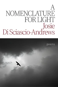 A Nomenclature for Light: Poems