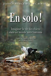 En solo !: imaginer la vie des chiens dans un monde sans humains