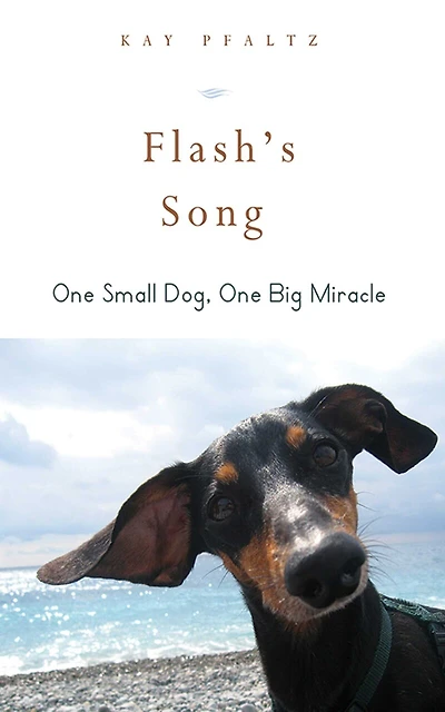 Flash's Song: How One Small Dog Turned into Big Miracle