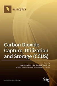 Carbon Dioxide Capture, Utilization and Storage (CCUS)