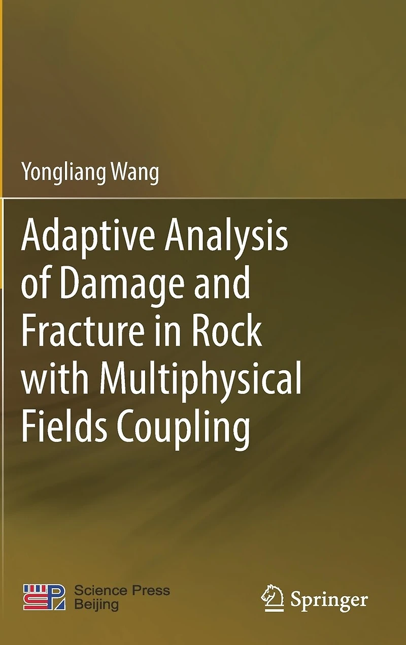 Adaptive Analysis of Damage and Fracture Rock with Multiphysical Fields Coupling