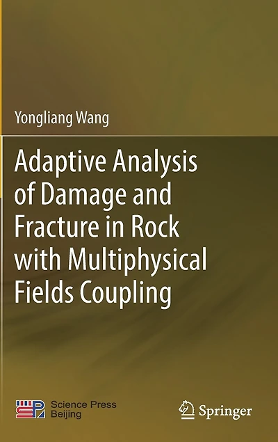 Adaptive Analysis of Damage and Fracture Rock with Multiphysical Fields Coupling