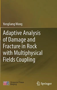 Adaptive Analysis of Damage and Fracture Rock with Multiphysical Fields Coupling