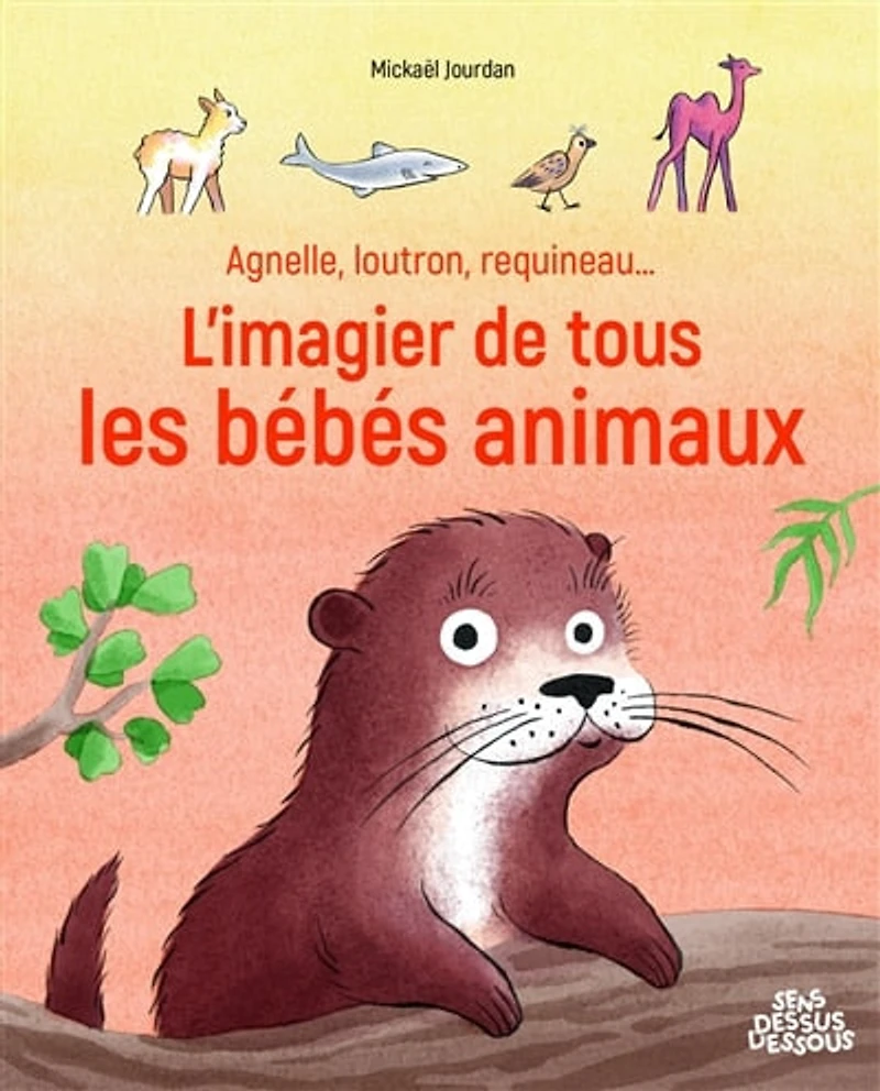 Agnelle, loutron, requineau...: l'imagier de tous les bébés animaux