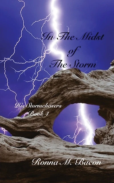 In The Midst Of The Storm