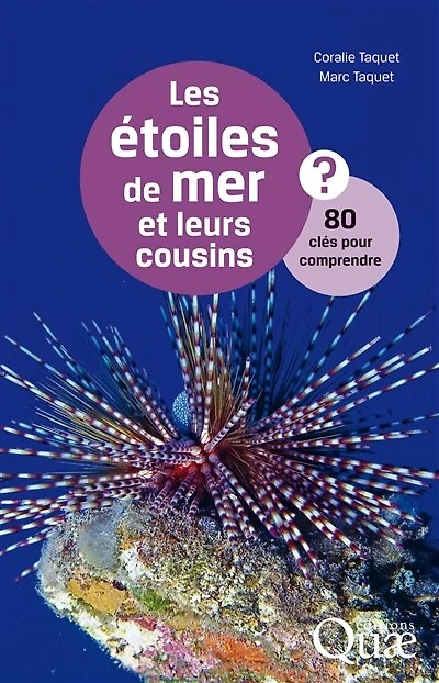 Les étoiles de mer et leurs cousins: 80 clés pour comprendre