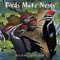 Birds Make Nests