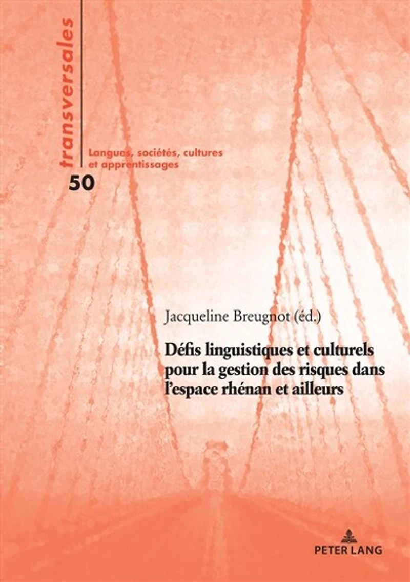 Défis linguistiques et culturels pour la gestion des risques dans l’espace rhénan ailleurs