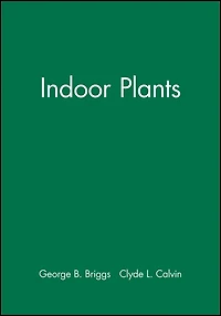 Indoor Plants