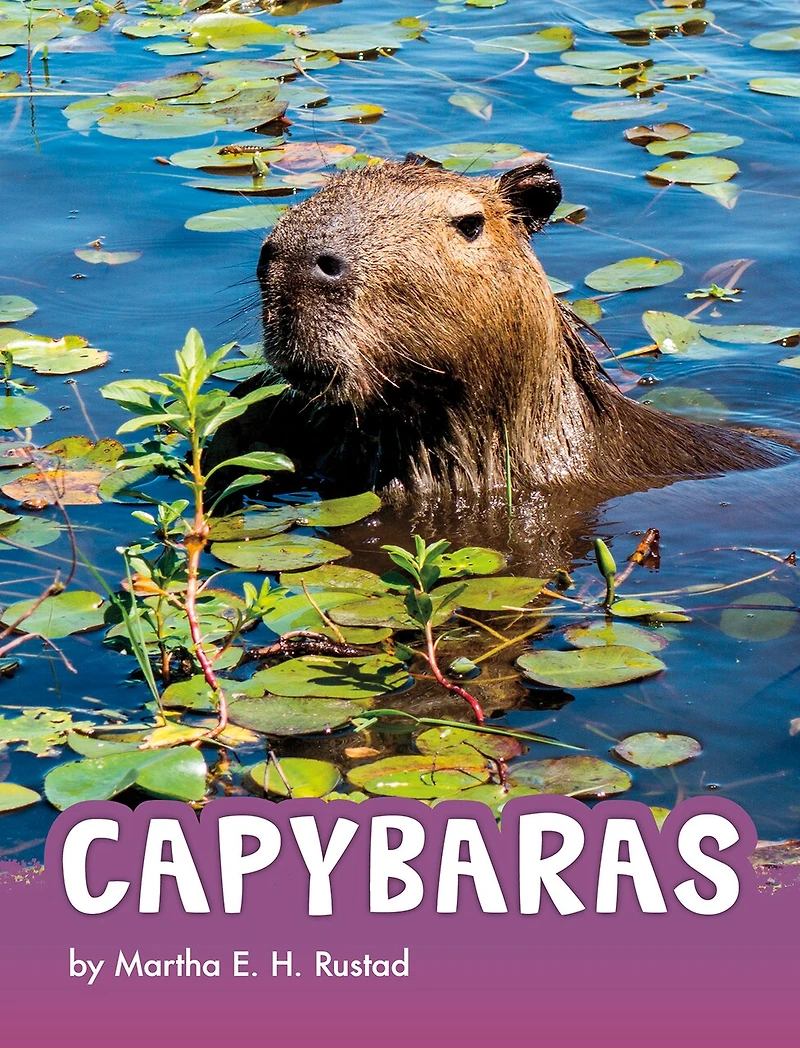 Capybaras