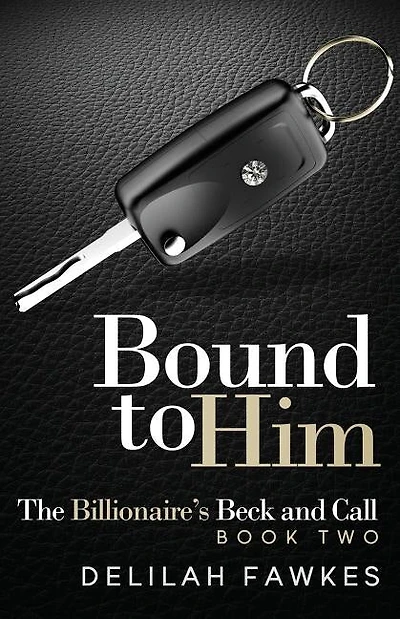 Bound to Him: The Billionaire's Beck and Call, Book Two