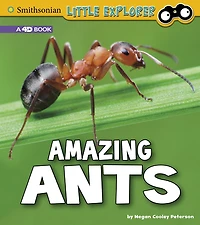 Amazing Ants: A 4D Book