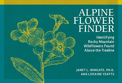 Alpine Flower Finder: Identifying Wildflowers Above the Rocky Mountain Treeline