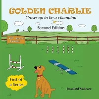 Golden Charlie: Grows up to be a Champion