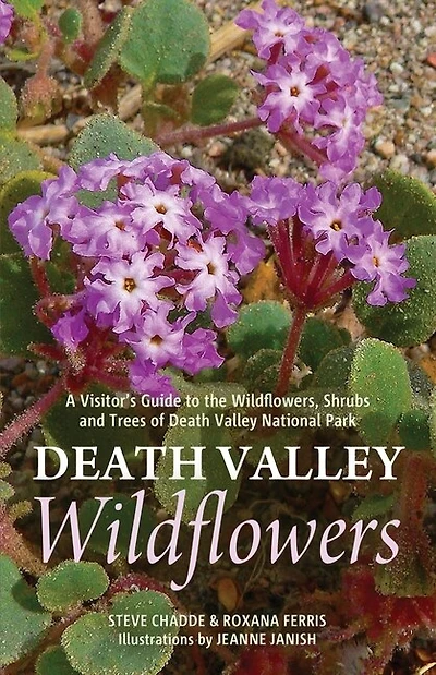 Death Valley Wildflowers: A Visitor's Guide to the Wildflowers, Shrubs and Trees of Death Valley National Park