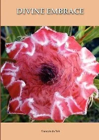 DIVINE EMBRACE New, 30 Chapter, 458page Revised Edition
