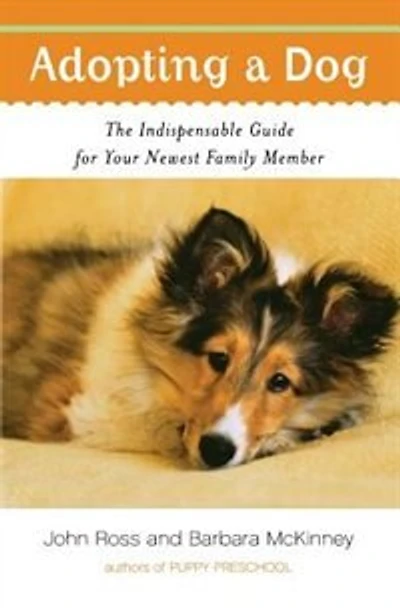 Adopting A Dog: The Indispensable Guide For Your Newest Family Member