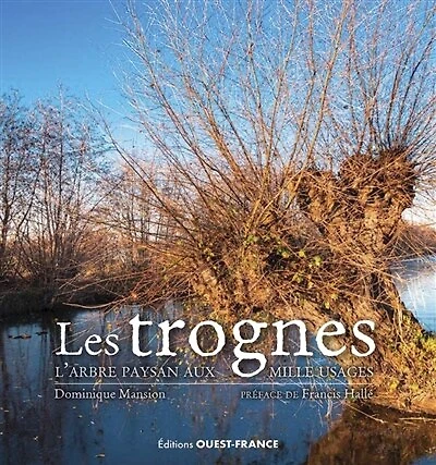 Les trognes: l'arbre paysan aux mille usages