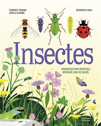 Insectes: minuscules mais essentiels, découvre leur vie cachée