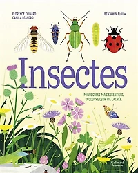 Insectes: minuscules mais essentiels, découvre leur vie cachée