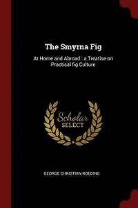 The Smyrna Fig: At Home and Abroad : a Treatise on Practical fig Culture